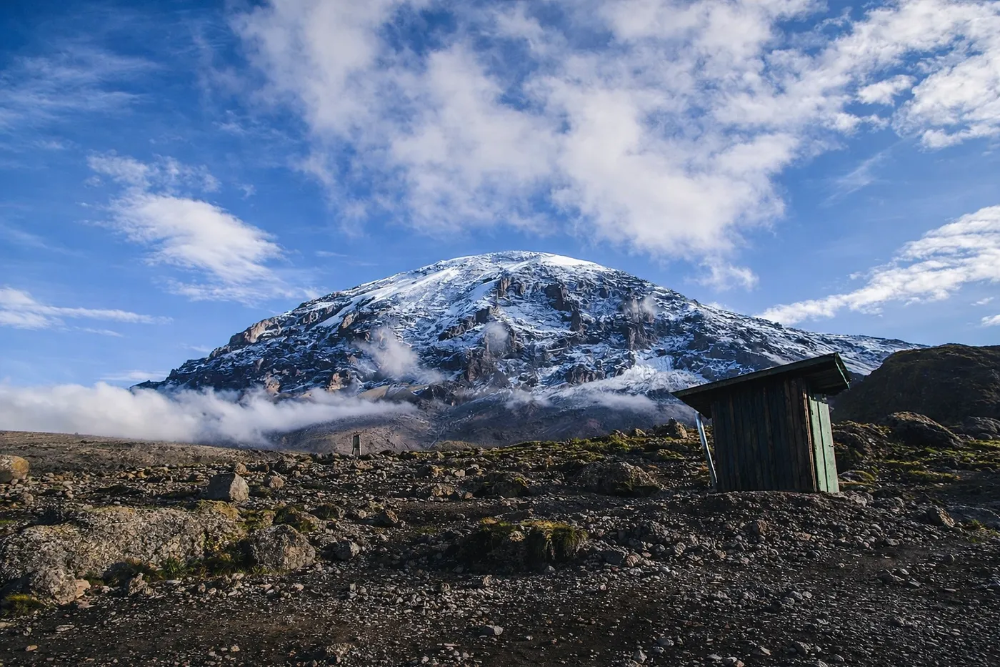 GAllery pic 1 Kilimanjaro